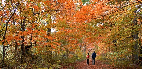 Best Fall Hikes in the Berkshires