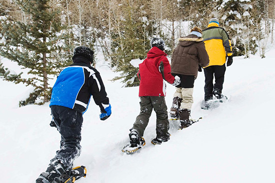 Snowshoeing & Cross-Country Skiing in the Berkshires: A Winter Wonderland
