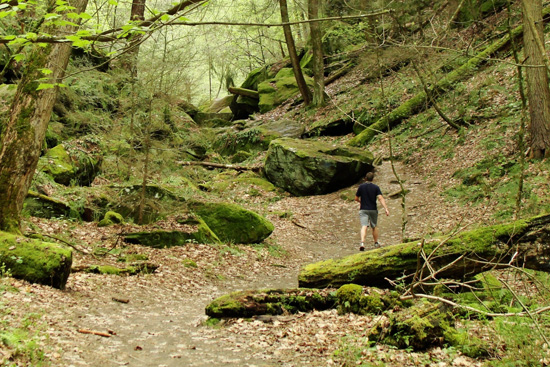 5 of the Best Summer Activities for Staying Cool!