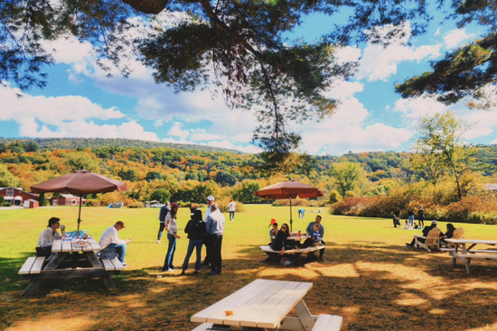 Great Outdoor Dining in Great Barrington